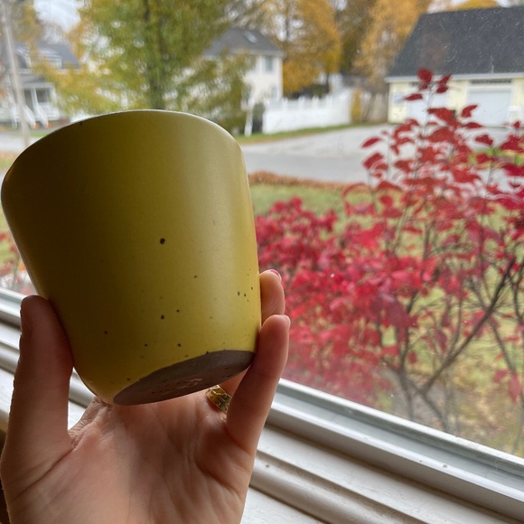 East Fork Kulhad in Pollen - Retired Glaze - Picture 4 of 7